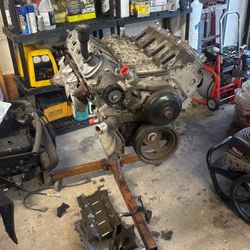 Ls 5.3 