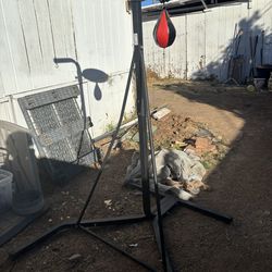 Everlast Punching Bag