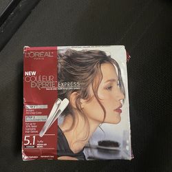 Loreal Paris new couler experte express 2 in 1 multi tonal color system hair highlighter