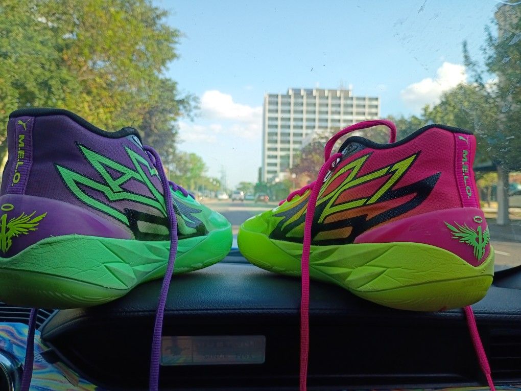 Rick And Morty Limited Edition Shoes