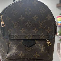 Louis Vuitton Palm Springs Mini Backpack