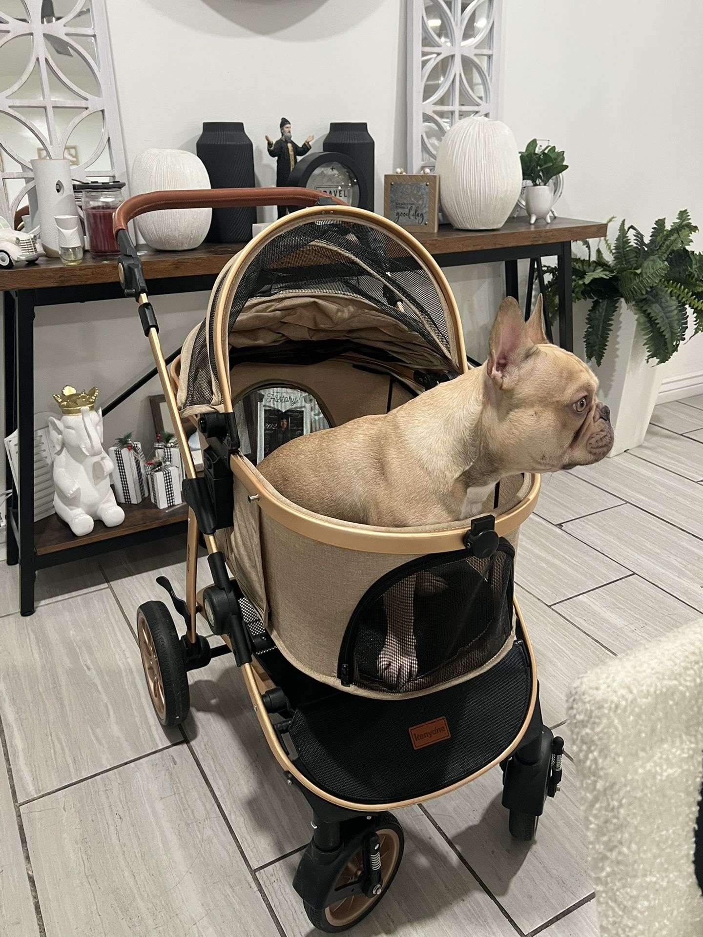Dog Stroller