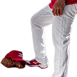 Mizuno Adult Men's Premier Pro Baseball Pant G2. Size, adult small