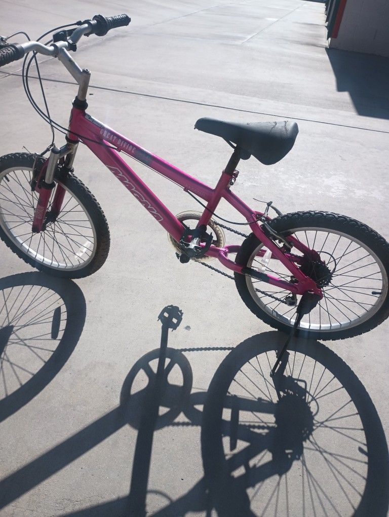 Bisicleta De Montaña Chica