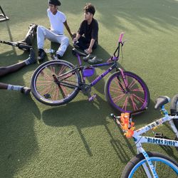 Se Bike Custom 