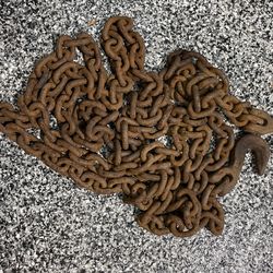 25’ Grade 100 HD Chain With K73 Clevis Hooks