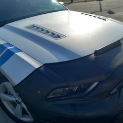 2014 Mustang  GT  V8 COYOTE