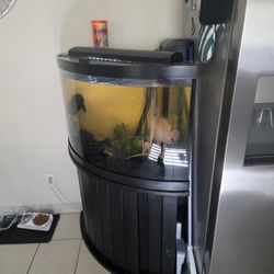 Fish Tank Fresh Water. 