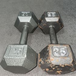 25 Lbs Dumbbells 