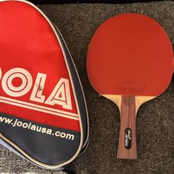 Ping Pong Paddles X2 