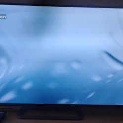 60" Vizio LCD Tv