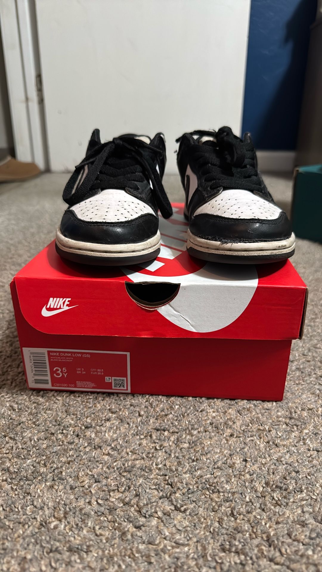 Kids Nike Dunks 