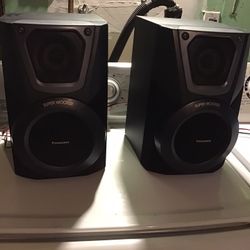 Panasonic Speaker