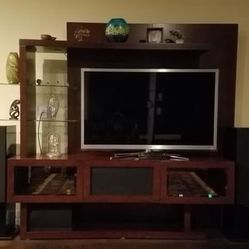 Designer Wall Unit / TV Stand