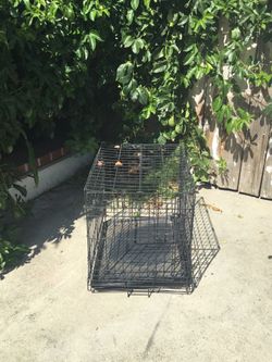 dog crate