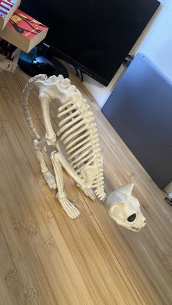Cat Halloween decoration
