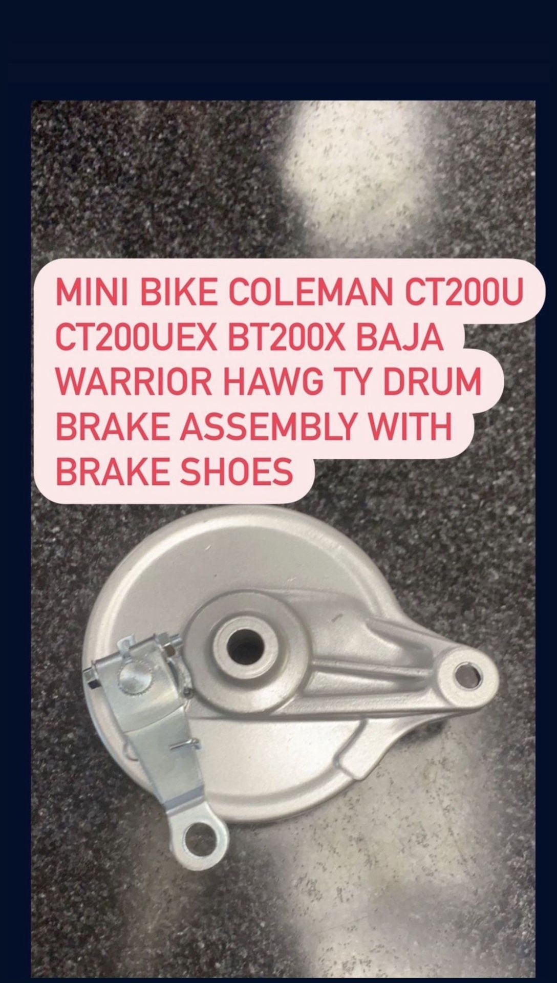 Mini Bike Coleman ct200u ct200uex Bt200x Baja warrior hawg ty drum brake assembly with brake shoes