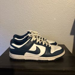 Nike Dunks Size 9.5