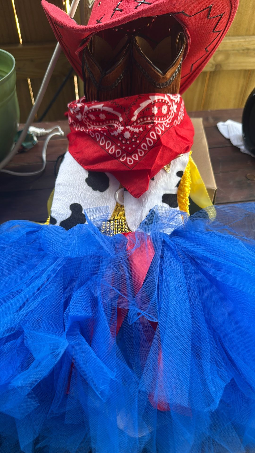 Halloween Costume Jesse Toy Story