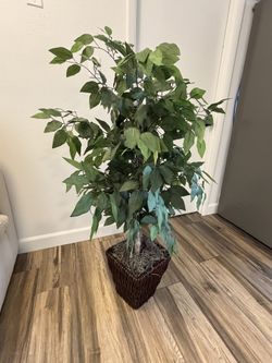 3’ Artificial Tree Potted, Modern, & Lifelike