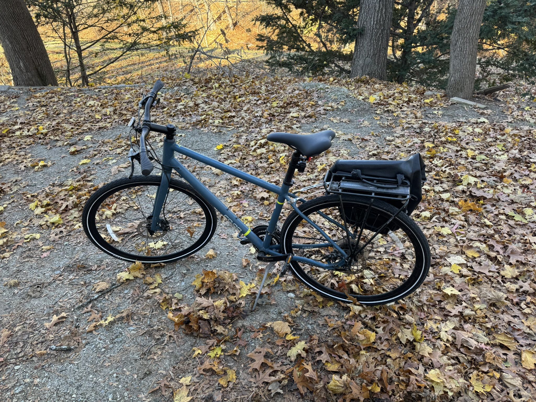 Co-op CTY 1.1 Commuter Bike (Size L)