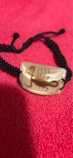 Exotic  scorpion 🦂
