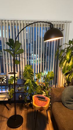 Black Arched Floor Lamp, like new