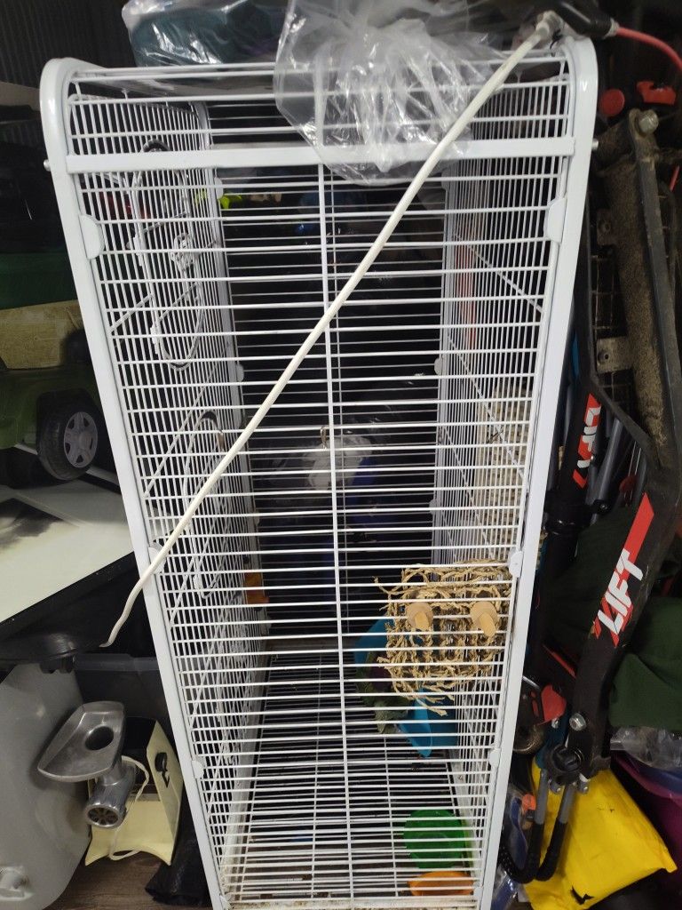 Big Bird Cage