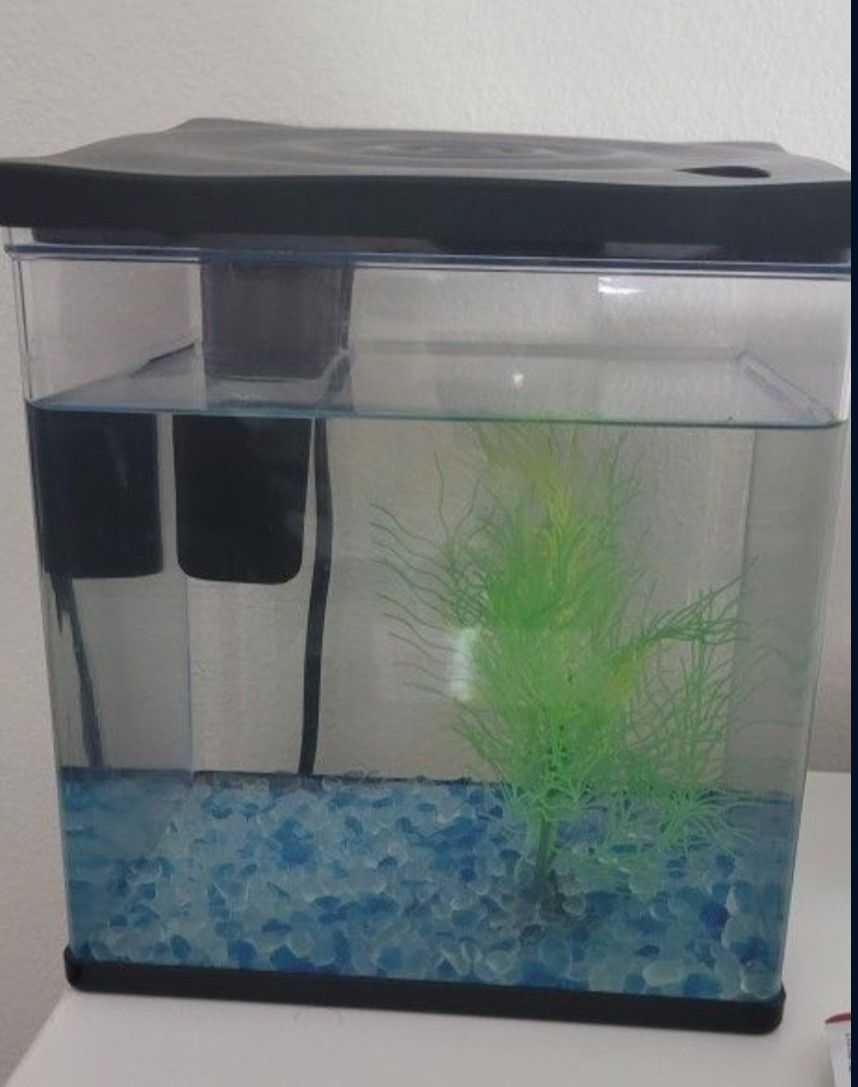 1.5 Gallon Aquarium