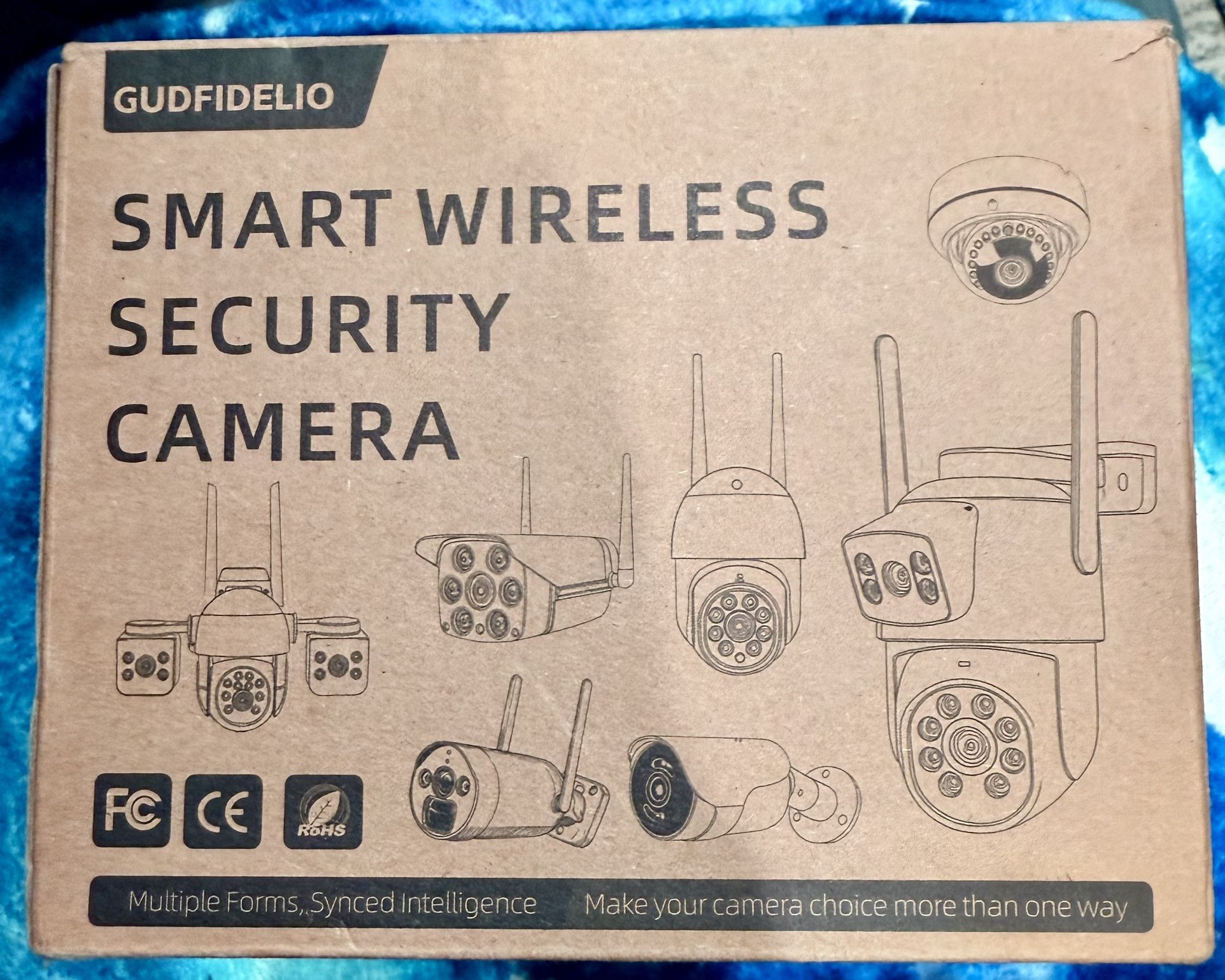 Security Camera (GUDFIDELIO)