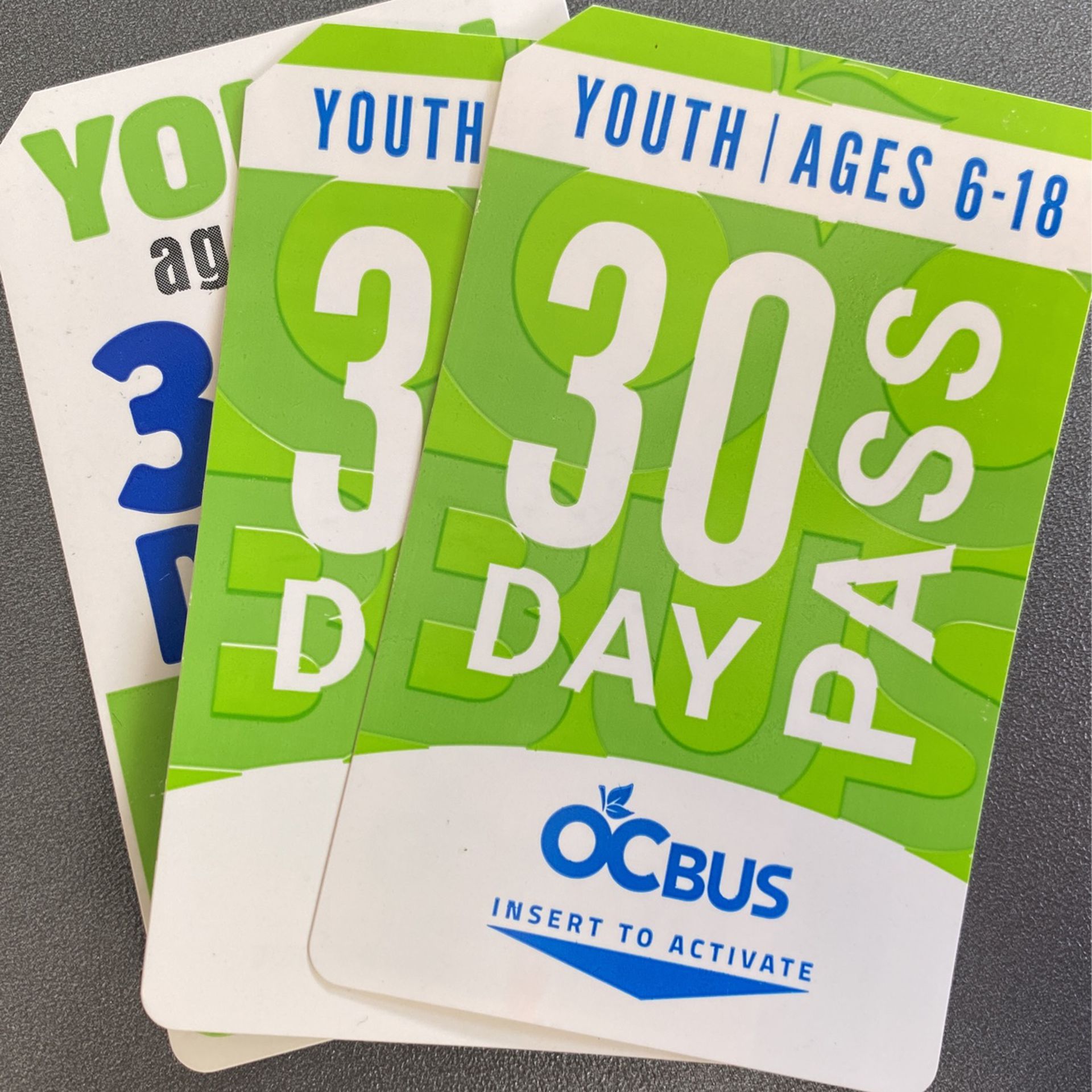 Youth 30 Day OCTA Bus pass