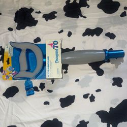 Key to Disneyland
