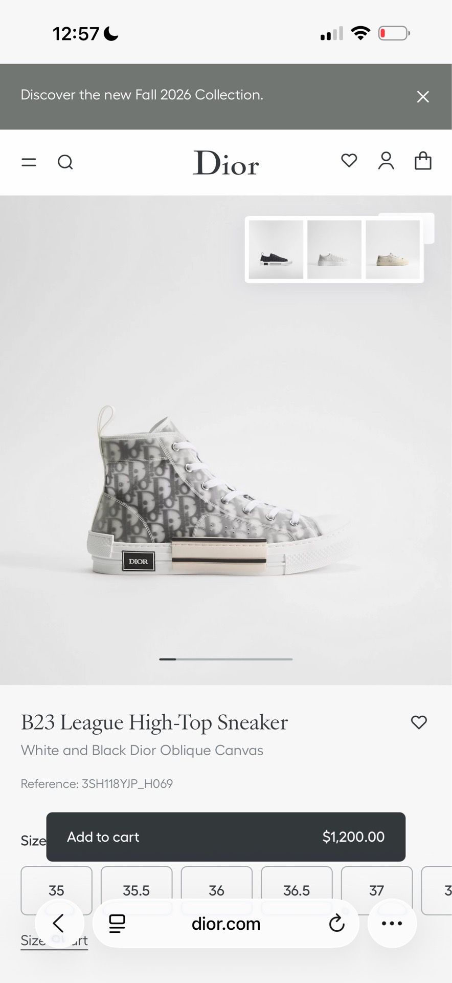 DIOR B23