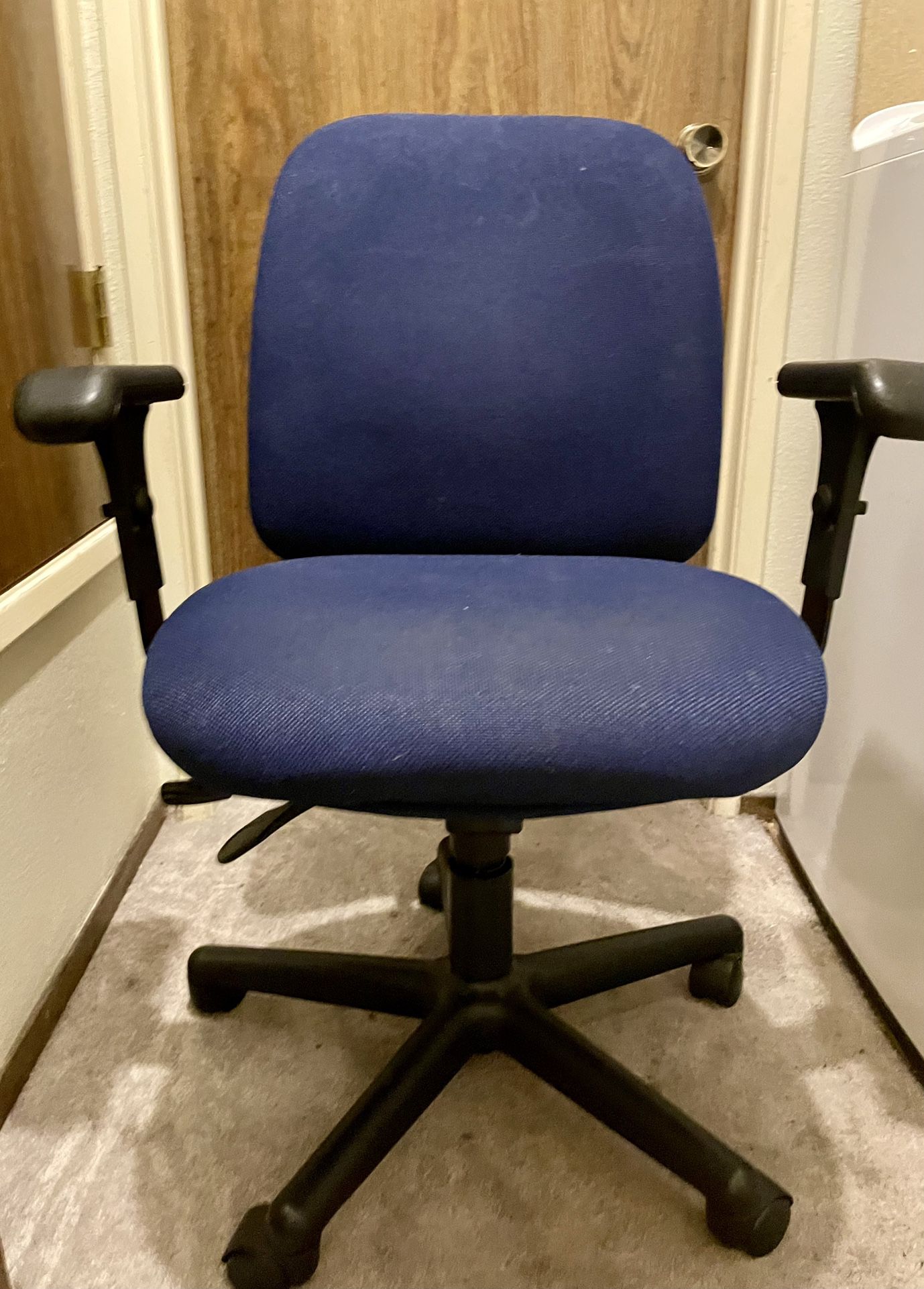 Sherman 24/7 Task Chair w/Arms. Color: Blue