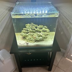 15 Gallon Saltwater Fish Tank 