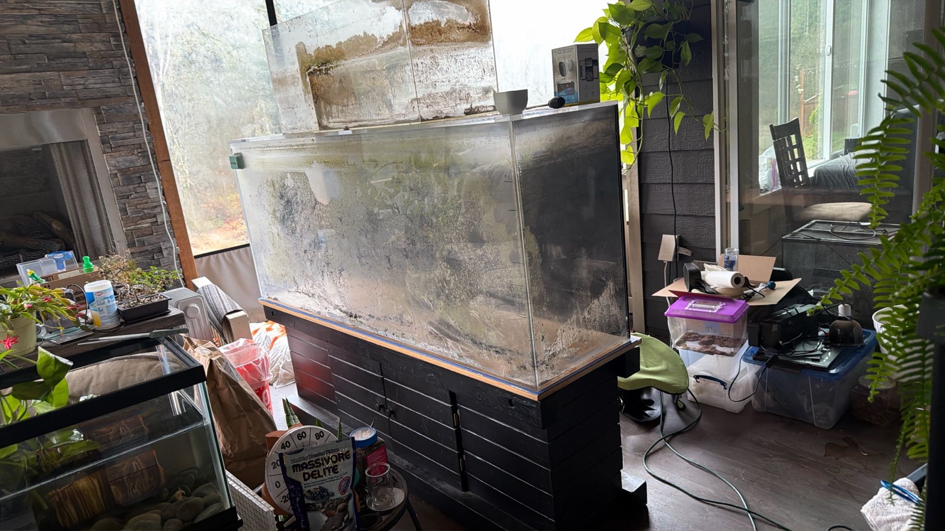 Large Fish Tank