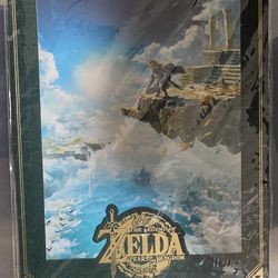 Tears of the Kingdom Promo Paper Frame