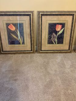 Pair of Framed Tulip Wall Art Prints