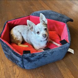 Coffin Dog Bed 