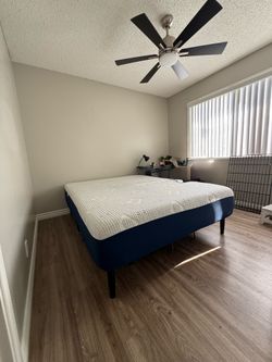 Queen base and mattress bed