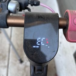 Electric Scooter 