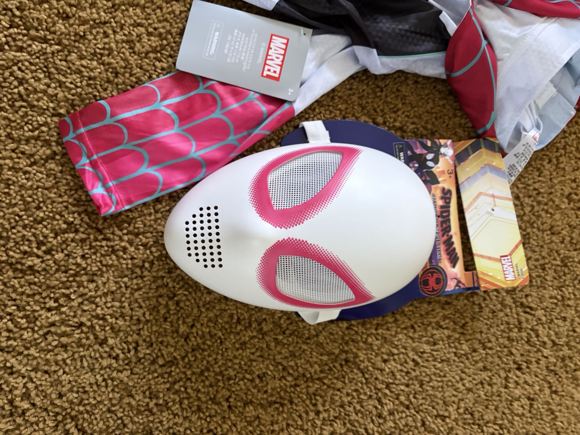 Spider Verse / Spider Man