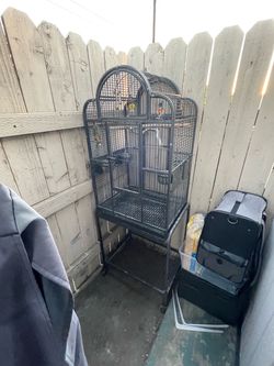 Big bird cage