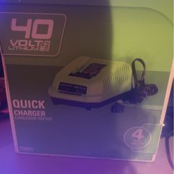 Green works Battery Charger 