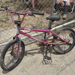 Bike With Pegs 