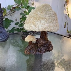 Vintage Mystical Mushroom Coral Lamp