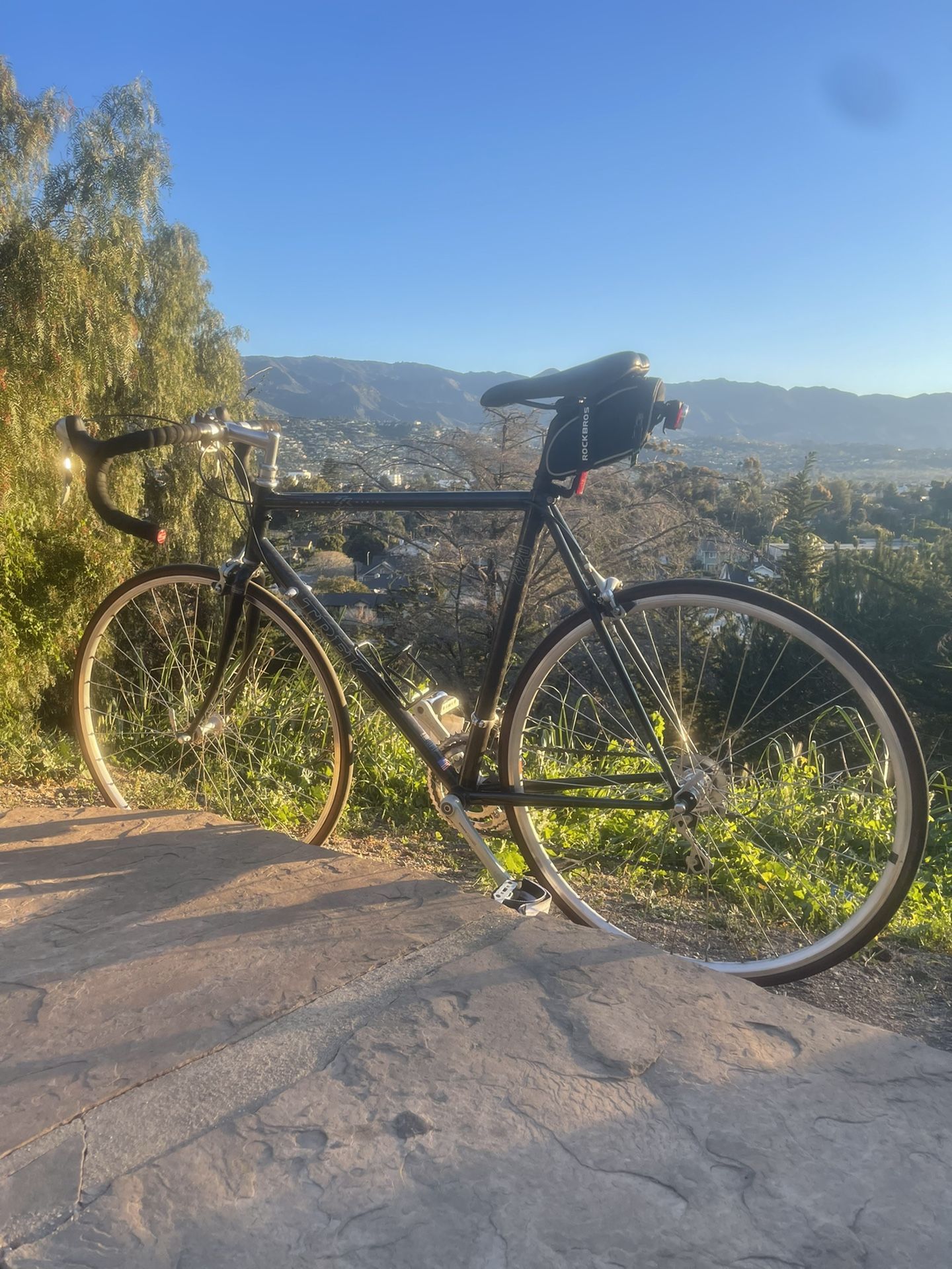 Retro Carbon Trek GT Bike