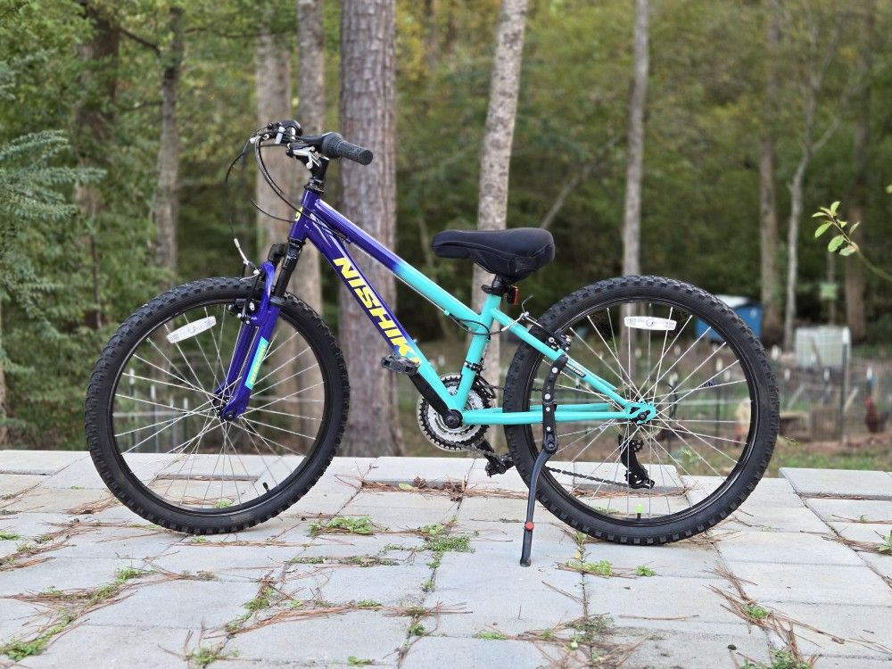 Nishiki Pueblo 24