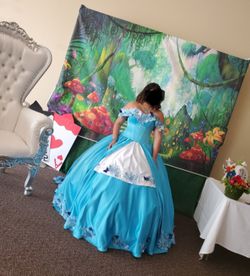 Alice In Wonderland Quinceañera Dress 