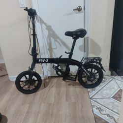 Used Fly Wing Ebike